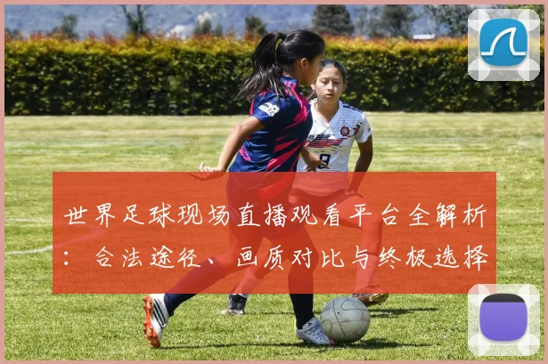 世界足球现场直播观看平台全解析:合法途径、画质对比与终极选择指南